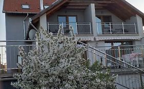 Villa Rigo Panzio