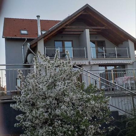 Villa Rigo Panzio Verpelét Exterior foto