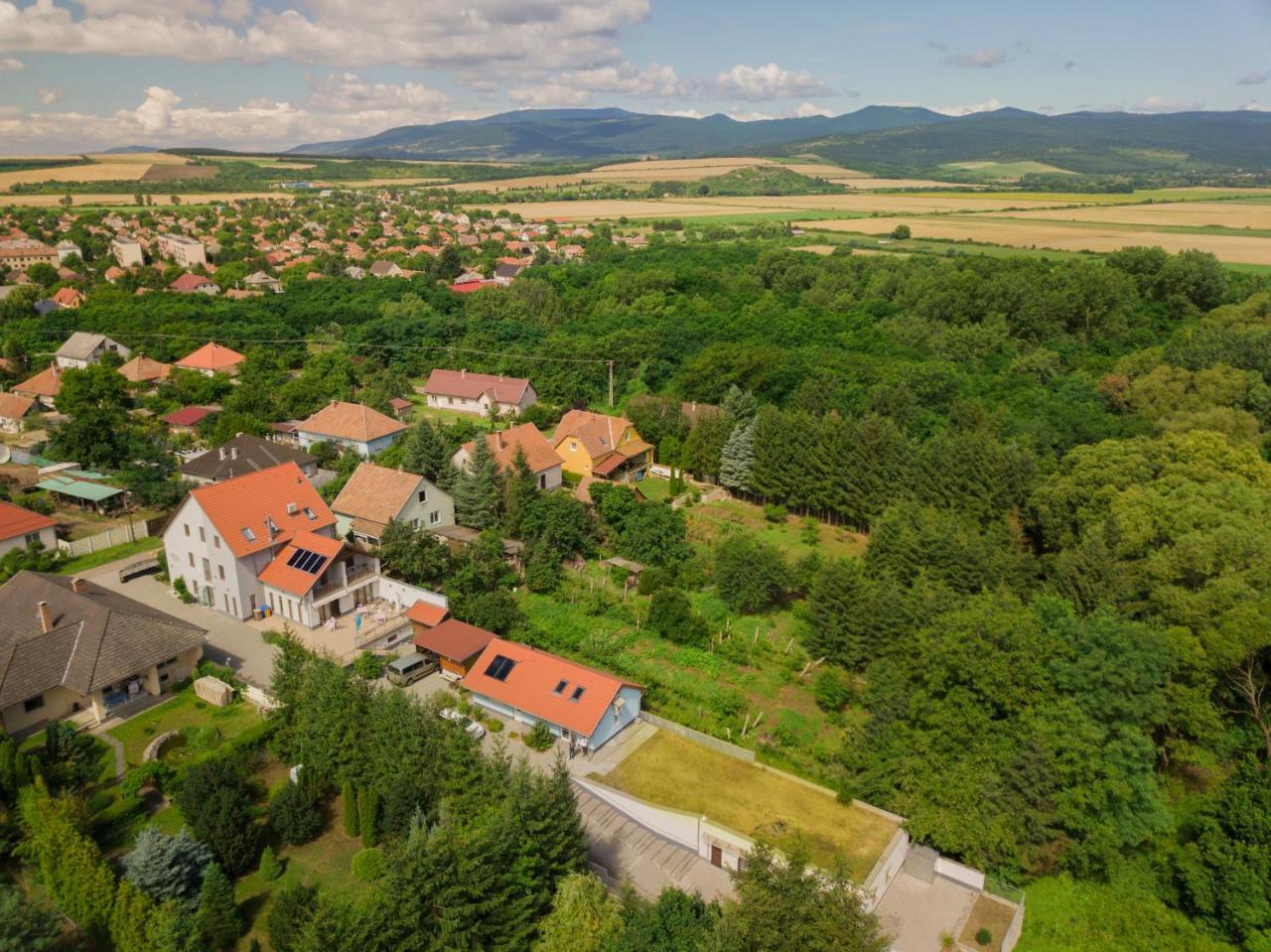 Villa Rigo Panzio Verpelét Exterior foto