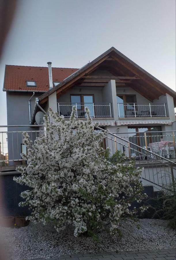 Villa Rigo Panzio Verpelét Exterior foto